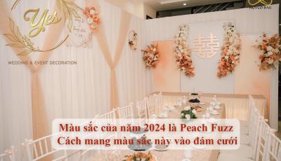 Màu sắc của năm 2024 là Peach Fuzz - Cách mang màu sắc này vào đám cưới